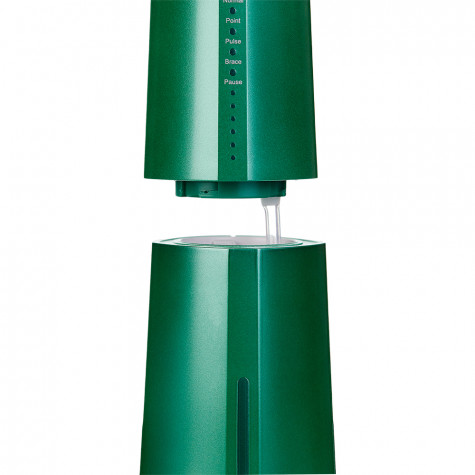 Ирригатор Revyline RL 610 Special Color Edition Green Dragon