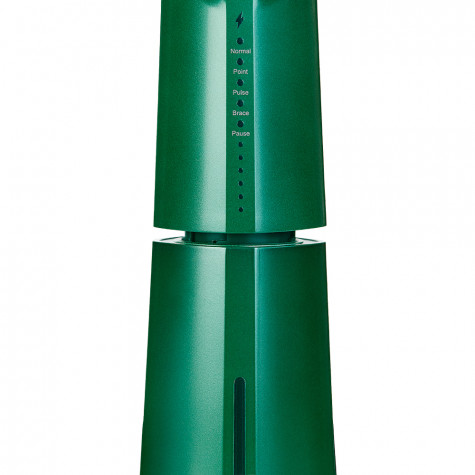 Ирригатор Revyline RL 610 Special Color Edition Green Dragon